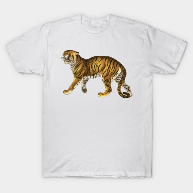 Wild Safari Tiger T-Shirt by RedThorThreads